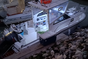 Barca Bayliner Trophy 20.02