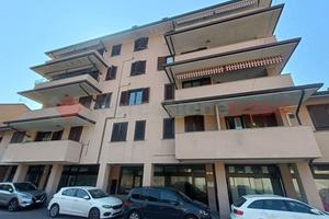 Negozio Busto Garolfo [Cod. rif 3243958VCG]