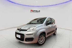 FIAT Panda 3ª serie Panda 1.2 Easy