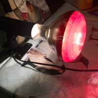 2 lampade e pinza di supporto