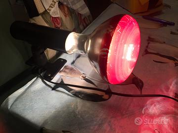 2 lampade e pinza di supporto