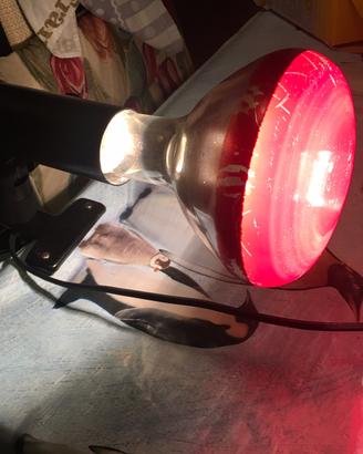 2 lampade e pinza di supporto