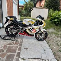 Aprilia rs 125 replica poggiali 2005
