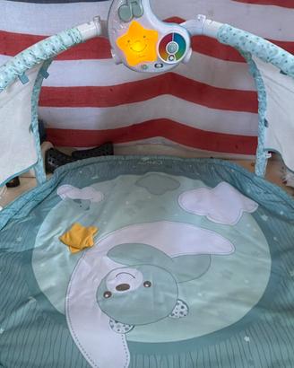 Chicco dreams