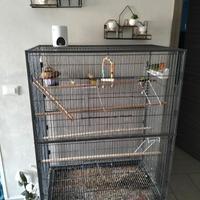 Gabbia per pappagalli
