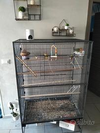 Gabbia per pappagalli