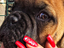Immagine 3