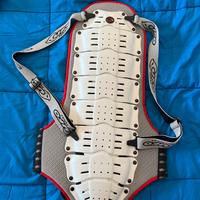 Paraschiena Snowboard Ufo