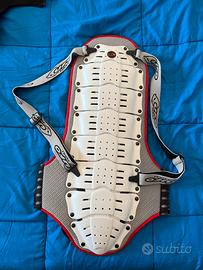 Paraschiena Snowboard Ufo