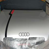 Cofano anteriore x audi TT Mk2 + altri ricambi 