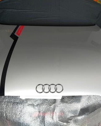 Cofano anteriore x audi TT Mk2 + altri ricambi 