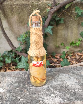 Bottiglia Cachaça granchio Pinga Fortaleza Brasile