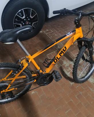Mountain bike