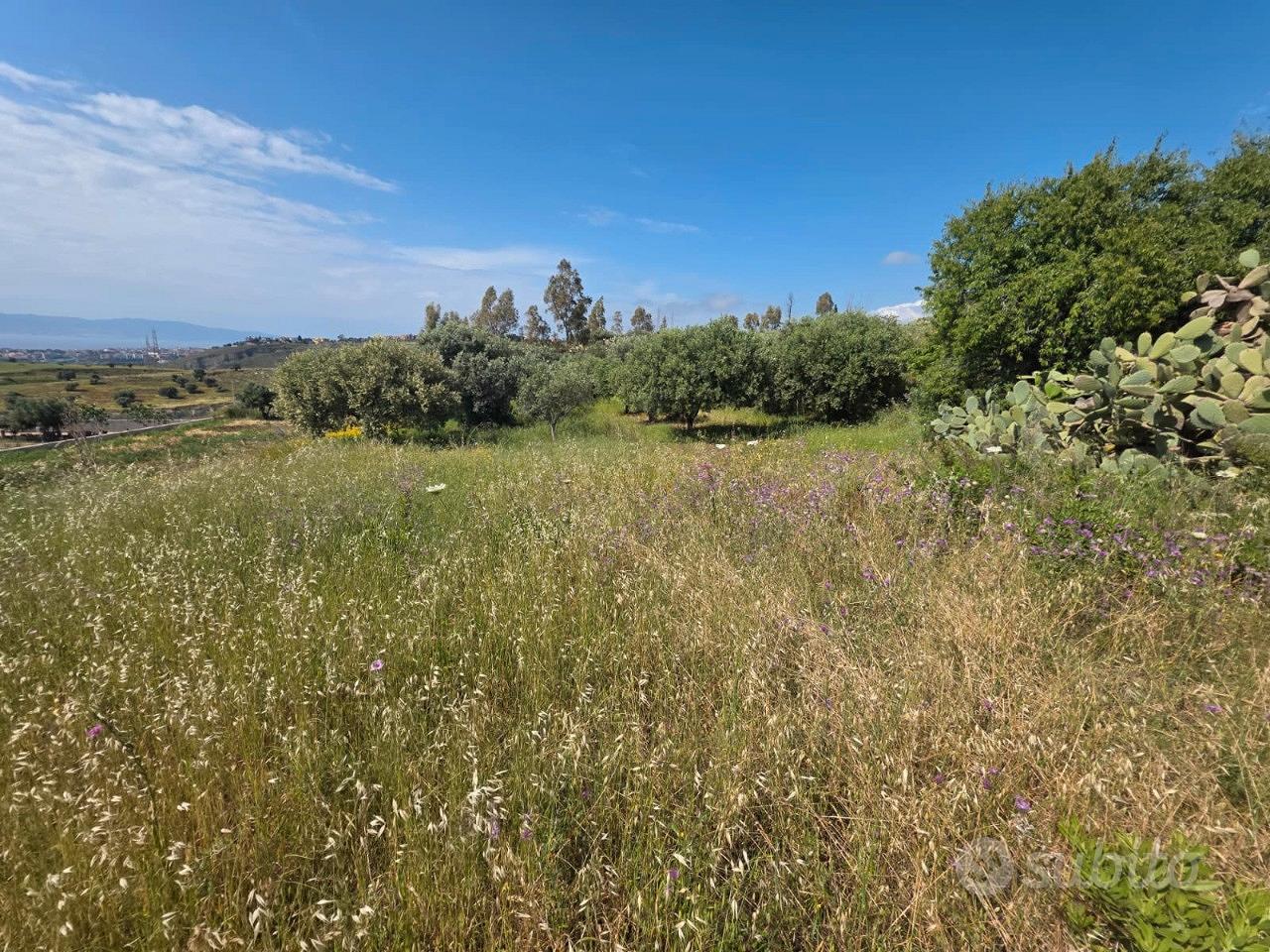 Terreno Agricolo Panoramico Gurnari 1050 Mq - Vista 3