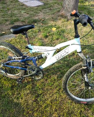 bicicletta bimbo 20