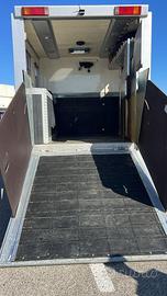 Camion per trasporto cavalli