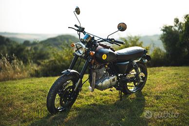 Mash Two Fifty 250 - 2015