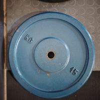 dischi pesi da 15  kg