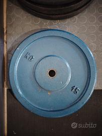 dischi pesi da 15  kg