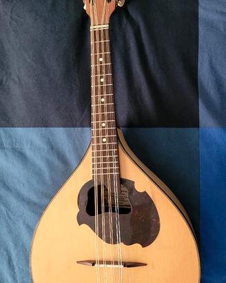 Mandola piatta del maestro liutaio Privitera