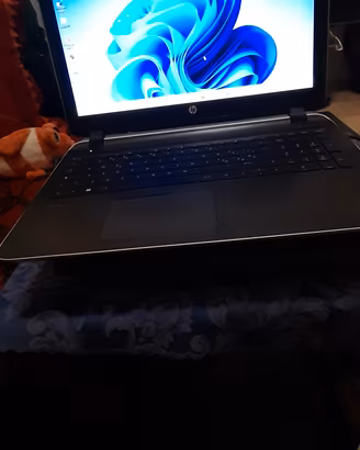 Pc Hp win 11 ssd256 batteria.da cambiare