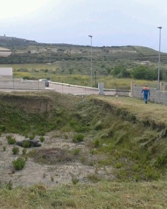 Terreno edificabile