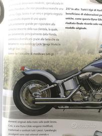 Staffe supporto parafango post. H-D Softail'84-'99