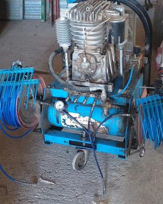 Compressore abbacchiatore olive