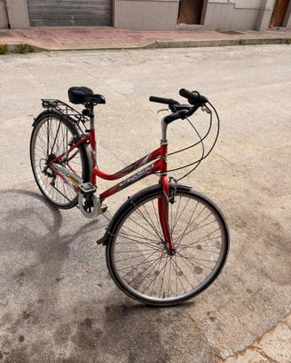 Bicicletta