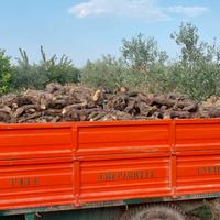 Legna Da Ardere Di Ulivo per Camino, Forno e Stufa