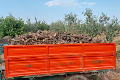 Legna Da Ardere Di Ulivo per Camino, Forno e Stufa