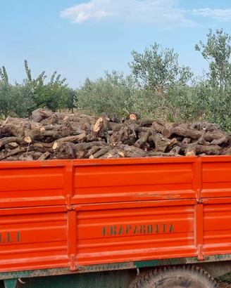 Legna Da Ardere Di Ulivo per Camino, Forno e Stufa