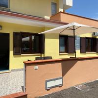 Vacanze sulla riviera dei cedri