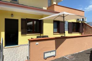 Vacanze sulla riviera dei cedri