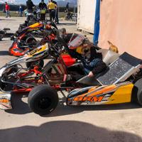Go-kart BRM 125