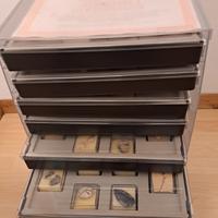 RACCOLTA FOSSILI MINERALI GEMME