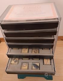 RACCOLTA FOSSILI MINERALI GEMME