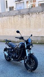 Benelli Leoncino 500