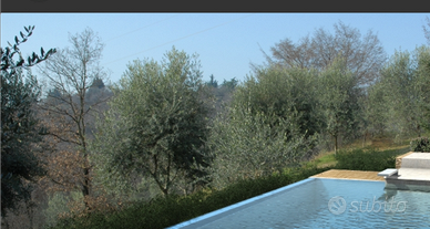 Vendita immobile in campagna