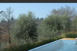 Vendita immobile in campagna