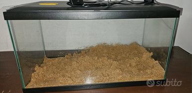 acquario ciano 60 led