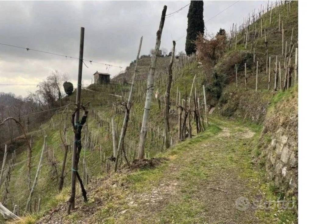 Immobile in asta di 10601 m² a Farra di Soligo - Vista 5