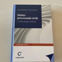Manuale universitario procedura civile 2