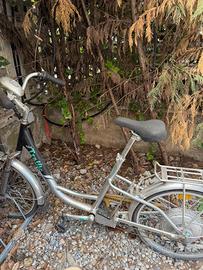 Bicicletta elettrica