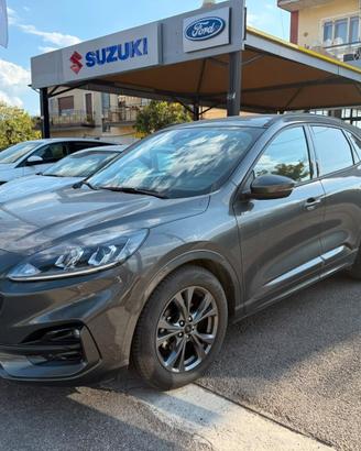 Ford Kuga 1.5 EcoBlue 120 CV aut. 2WD ST-Line