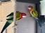 Immagine 2