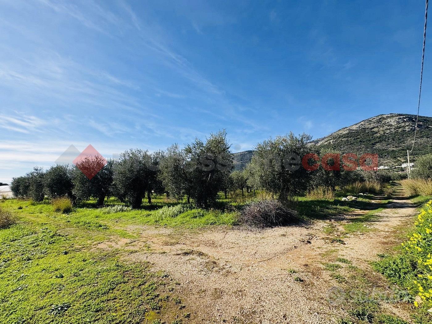 Terreno Agricolo Terracina [Cod. rif 3290200VCG] - Vista 3