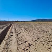 Azienda agricola a seminativo 90 ha Livorno