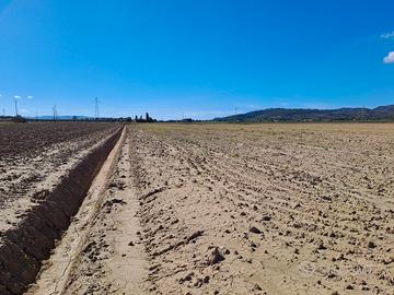 Azienda agricola a seminativo 90 ha Livorno