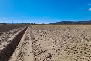 Azienda agricola a seminativo 90 ha Livorno